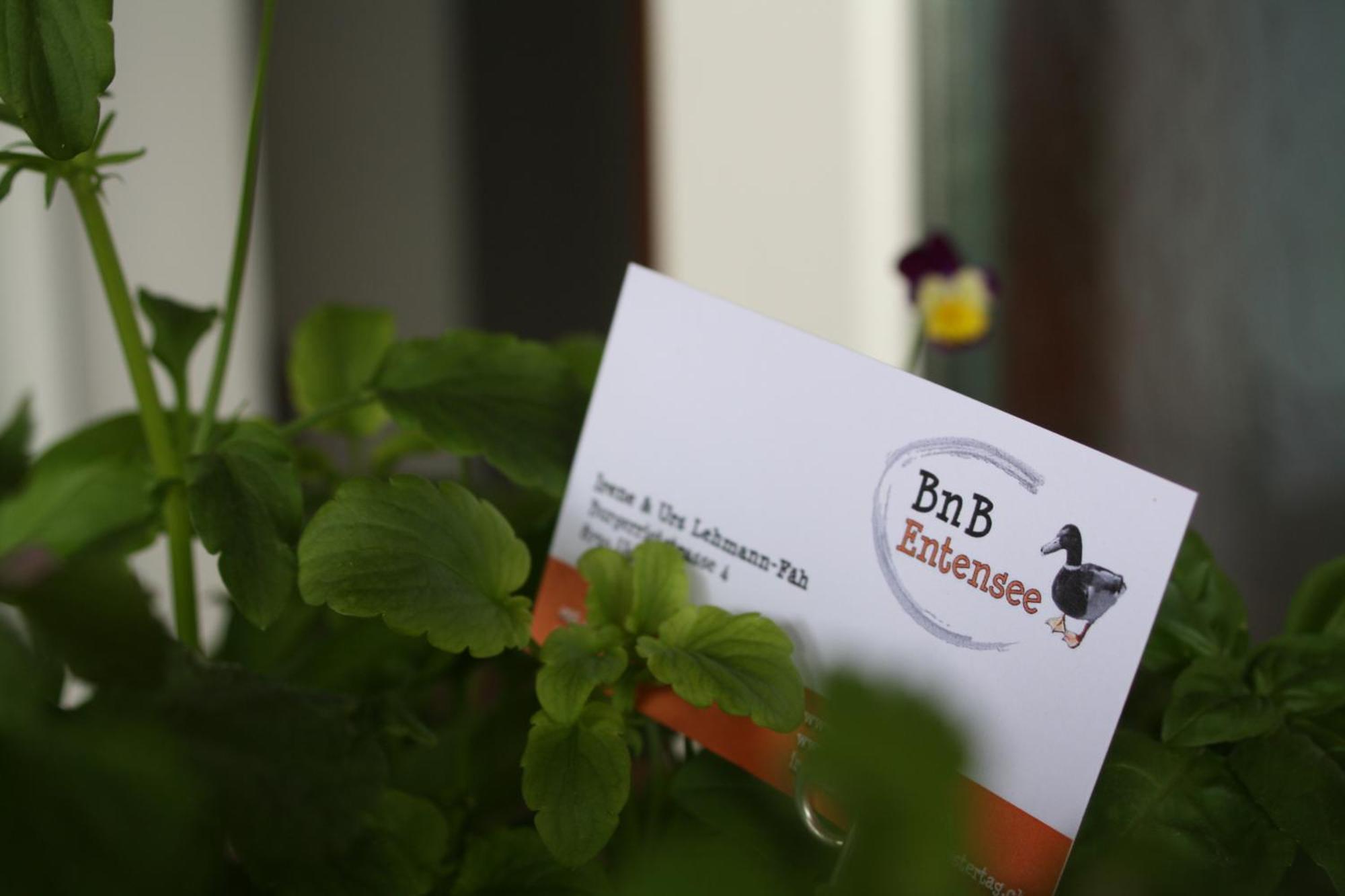 Bnb Entensee Uznach Extérieur photo