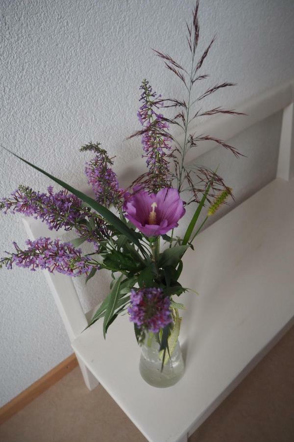 Bnb Entensee Uznach Extérieur photo